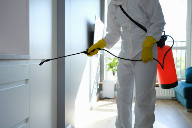 Best Residential Mold Removal  in St George, KS