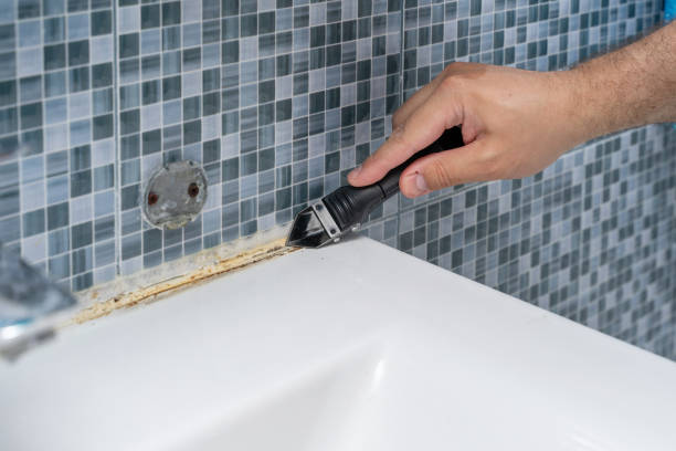 Best Local Mold Removal Service  in St George, KS