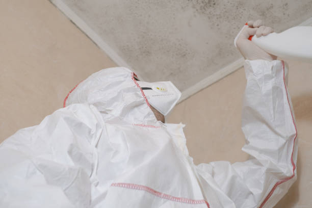 Best Mold Remediation  in St George, KS