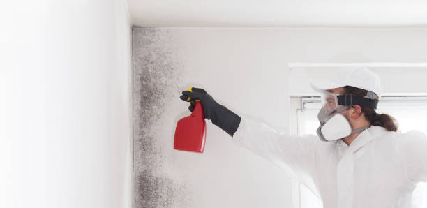 Best Mold Cleaning Services  in St George, KS