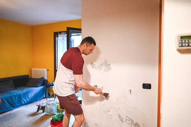 Best Emergency Mold Removal  in St George, KS